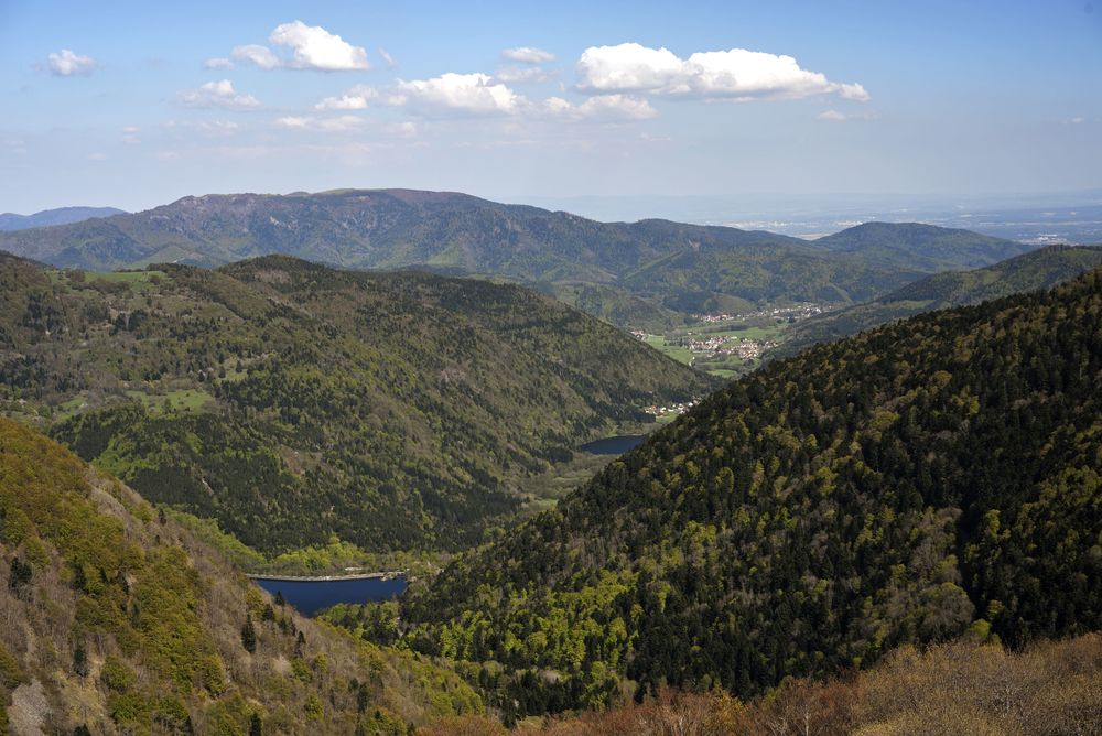 Ballon d'Alsace : point de départ du GR® 7 dans les Vosges - MonGR - Crédit : BRINGARD Denis / hemis.fr